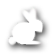 white rabbit w shadow
